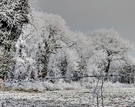 Winter's Heart Image