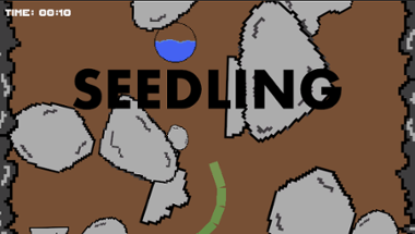 Seedling Image