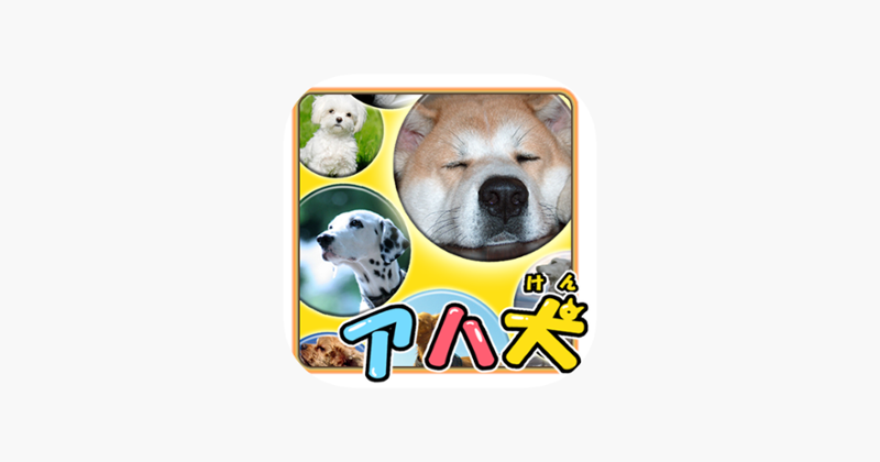 Brain Training - Aha dog picture book Game Cover