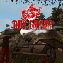 Dry Grass Image