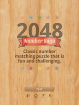 2048 Number Saga Game Image