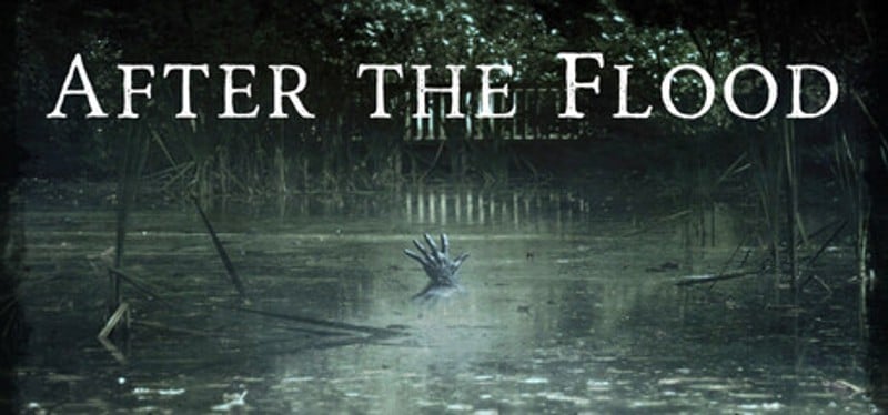 After the Flood Game Cover