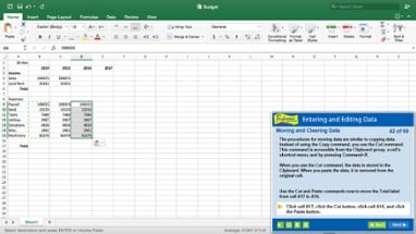 Professor Teaches® Excel 2016 – Mac Image