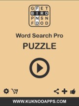Word Search Pro words finder Puzzle Image