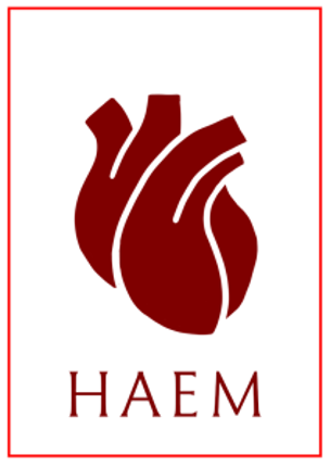 Haem Game Cover
