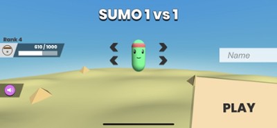 Sumo 1 vs 1 Image