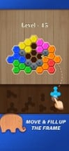 Block Hexa Puzzle: Wooden Game Image