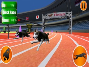 Dog Crazy Race Simulator 2023 Image