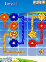 Flowers Connect Puzzle Image