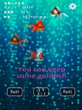 Goldfish Collection. Image