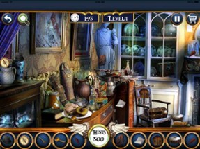 Hidden Objects 100 levels unlimited fun Image