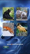 Animals Jigsaw Puzzle Image