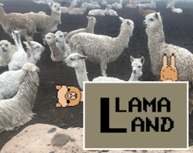 Llama Land Image
