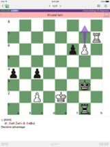 Chess Endings for Beginners Image