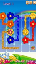 Flowers Connect Puzzle Image