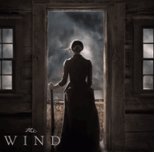 THE WIND Image