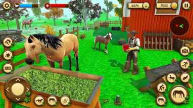 Wild Horse Games Survival Sim Image