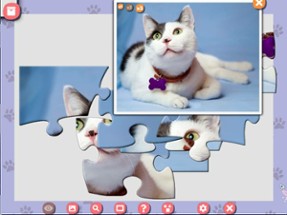 1001 Jigsaw. Cute Cats 4 Image