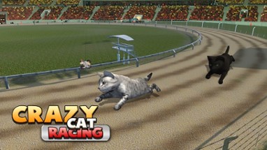 Cat Racing Free Game Image