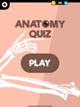 Anatomy &amp; Physiology Quiz Image