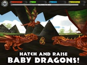 World of Dragons: 3D Simulator Image