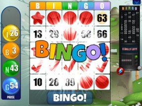 Absolute Bingo! Play Fun Games Image