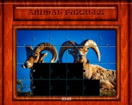 Puzzle Animals 2021 Image