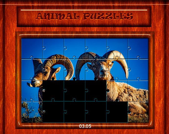 Puzzle Animals 2021 Game Cover