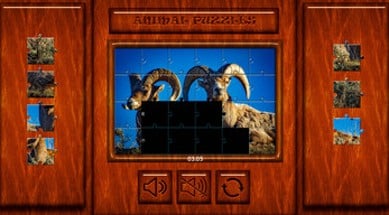 Puzzle Animals 2021 Image