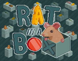 Rat in a Box Image