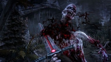 Hellraid Image