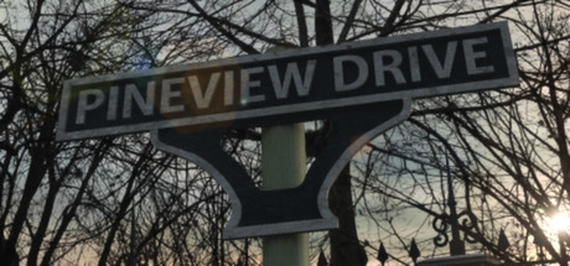 Pineview Drive Game Cover