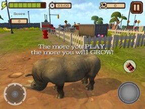 Rhino Simulator Image