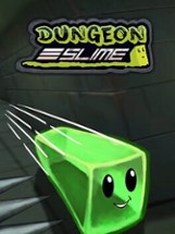 Dungeon Slime: Puzzle's Adventure Image