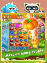 Crazy Fruit Star Image