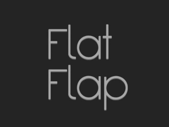 Flat Flapp Game Cover