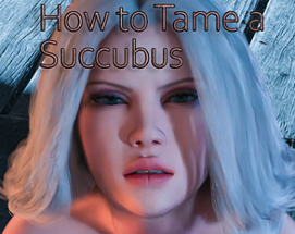 How to Tame a Succubus Image