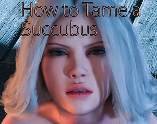 How to Tame a Succubus Game Cover