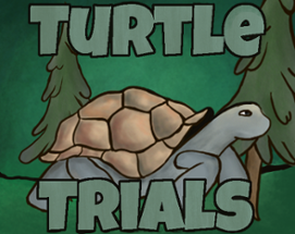 Turtle trials Image