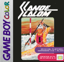 Canoe Slalom Image