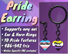 Pride Heart Earring Image