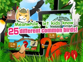 Birds for Kids HD - FREE Game Image