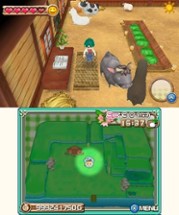 Harvest Moon: A New Beginning Image