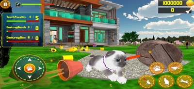 My Cat Simulator life Game Image