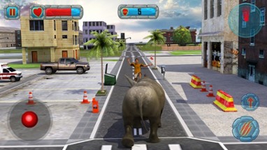 Crazy Rhino Attack 3D Image