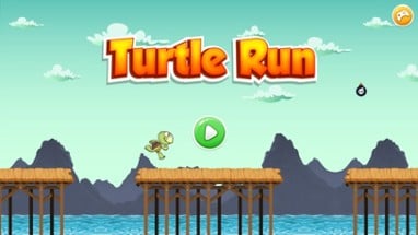 Turtle Run and Jump - Top Running Free Game Image