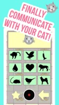 Crazy Cat Translator &amp; Sounds Image