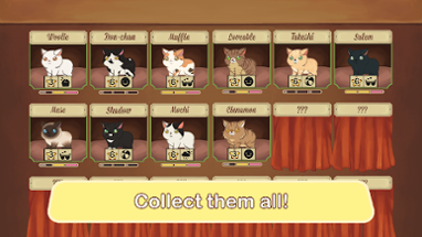 Furistas Cat Cafe Image