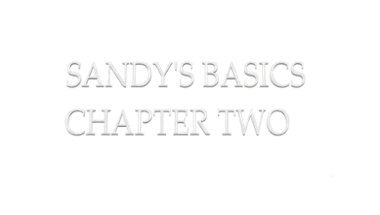 Sandy's Basics: Chapter Two Image