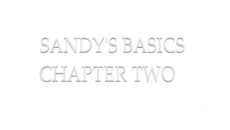 Sandy's Basics: Chapter Two Game Cover